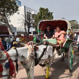 Travelcix- Travel Agency in India