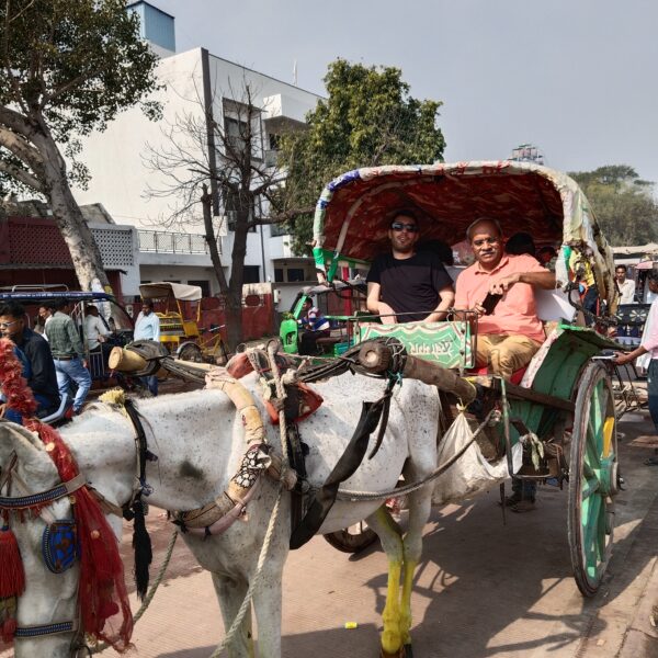 Travelcix: Tour of Elephant Conservation and Bear Rescue Centre from Agra – A One-Day Trip from Delhi