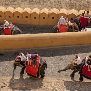 9 Nights 10 Days Golden Triangle Tour with Wildlife Safari from Delhi