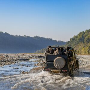 From Delhi: 2 Days 1 Night Jim Corbett Tiger Safari Tour By Car