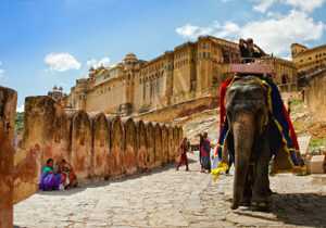 Travelcix- Travel Agency in India